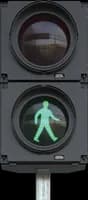 Pedestrian signal head